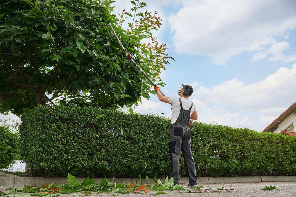 Expert en Débroussaillage