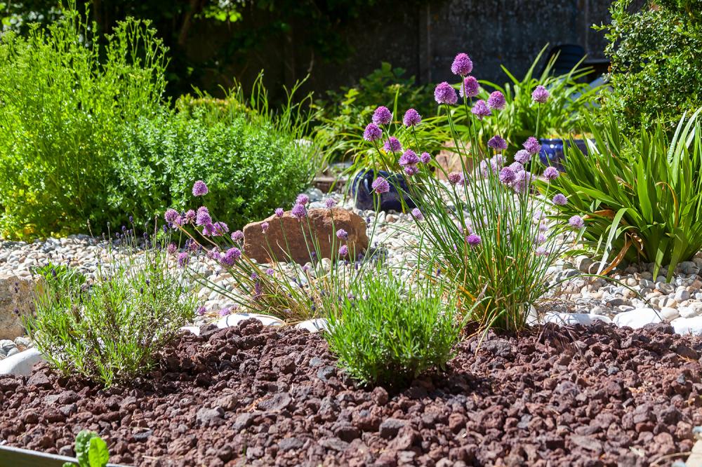 Entretien de jardins par des professionnels