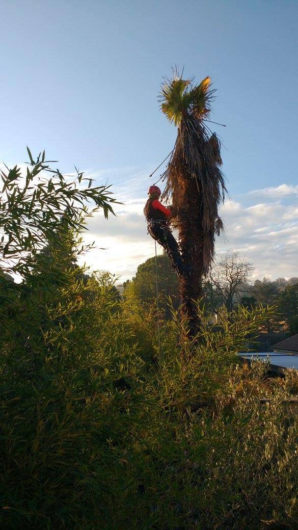 lagage en hauteur à Avignon